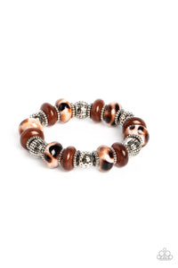 Warped Whimsicality  / Warped Wayfarer - Brown Set